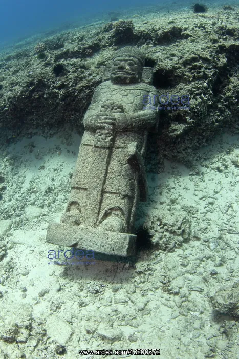 : Statue under water, Maunalua Bay, Oahu, Hawaii : Statue under water, Maunalua Bay, Oahu, Hawaii