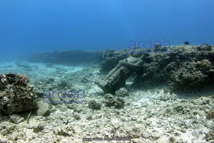 : Statue under water, Maunalua Bay, Oahu, Hawaii : Statue under water, Maunalua Bay, Oahu, Hawaii