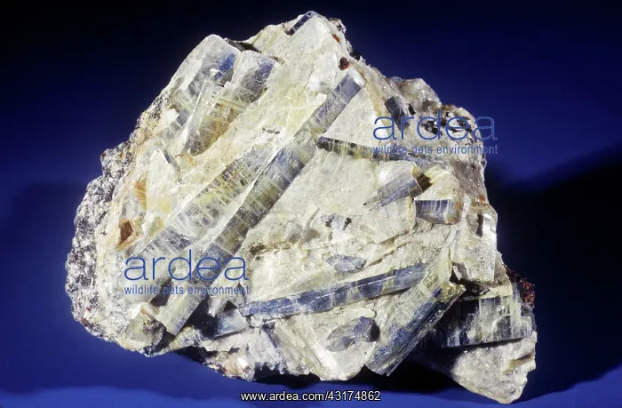: Staurolite from Uri, Switzerland : Staurolite from Uri, Switzerland