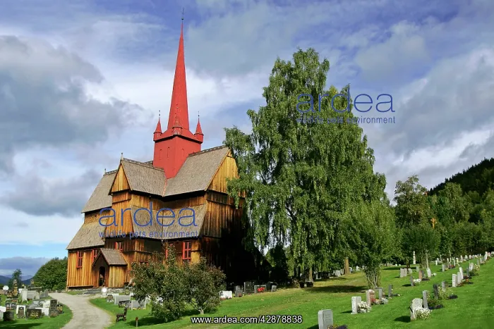 : Stave church of Ringebu - with cemetry in early autumn : Stave church of Ringebu - with cemetry in early autumn