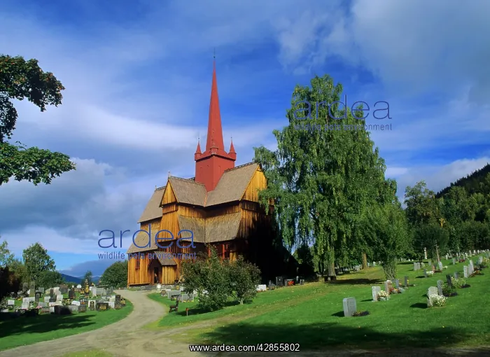 : Stavechurch of Ringebu - with graveyard in early autumn : Stavechurch of Ringebu - with graveyard in early autumn