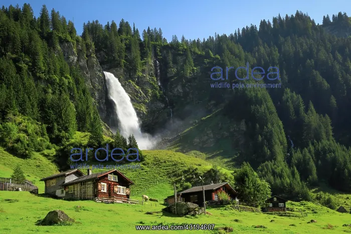 : Stcubifall, 100 m, Alp A sch, Uri, Switzerland, Stcubifall : Stcubifall, 100 m, Alp A sch, Uri, Switzerland, Stcubifall