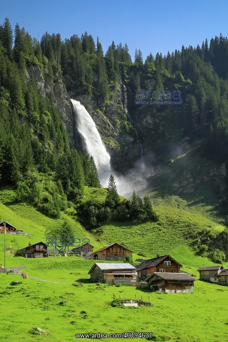 : Stcubifall, 100 m, Alp A sch, Uri, Switzerland, Europe : Stcubifall, 100 m, Alp A sch, Uri, Switzerland, Europe