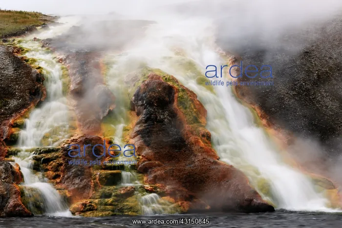 : Steam coming off hot water stream : Steam coming off hot water stream