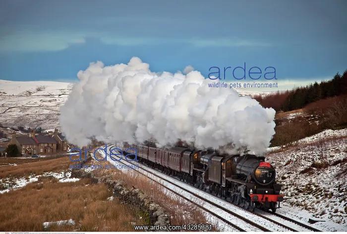 : steam engine, Black 5's 44871 & 45407 passing : steam engine, Black 5's 44871 & 45407 passing