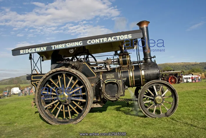 : Steam Engine Keeling Rally - Ridgeway Threshing : Steam Engine Keeling Rally - Ridgeway Threshing