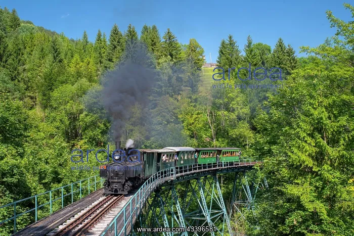 : Steam locomotive of the Ybbstal railway at the viaduct : Steam locomotive of the Ybbstal railway at the viaduct