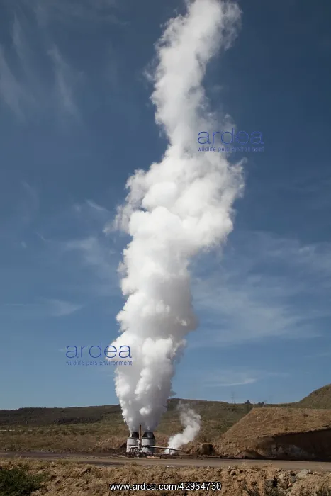 : Steam plumes rising from vents on geothermal development : Steam plumes rising from vents on geothermal development