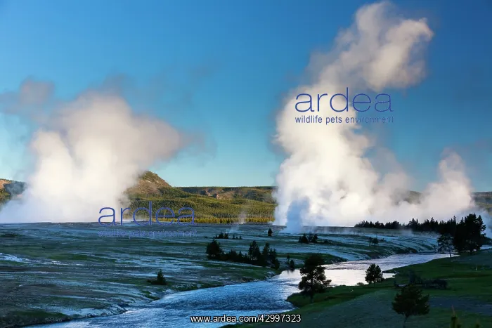 : Steam - rising from Excelsior Geyser and Grand Prismatic : Steam - rising from Excelsior Geyser and Grand Prismatic
