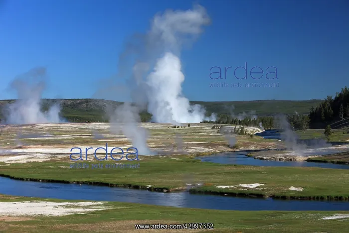 : Steam - rising from Excelsior Geyser and Grand Prismatic : Steam - rising from Excelsior Geyser and Grand Prismatic