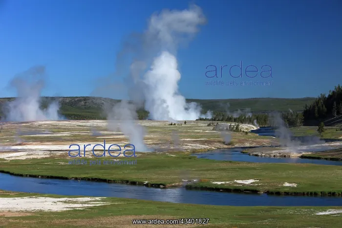 : Steam - rising from Excelsior Geyser and Grand Prismatic : Steam - rising from Excelsior Geyser and Grand Prismatic