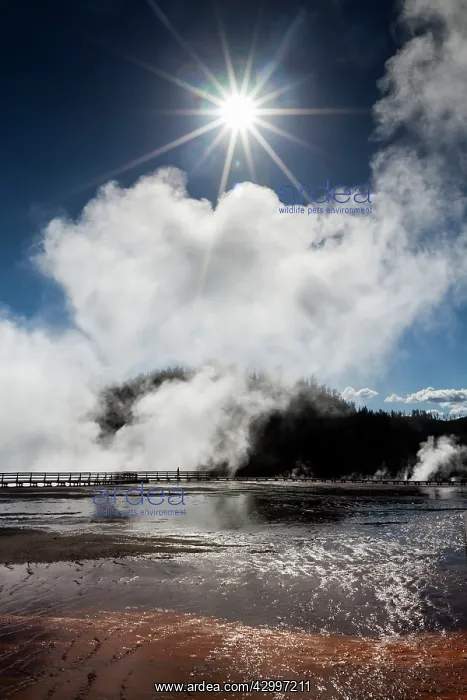 : Steam - rising from Excelsior Geyser Midway Geyser : Steam - rising from Excelsior Geyser Midway Geyser