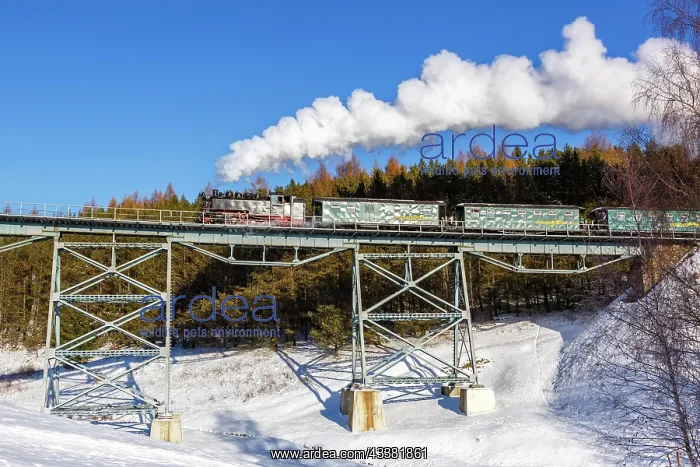 : Steam train of the Fichtelbergbahn railway Steam : Steam train of the Fichtelbergbahn railway Steam