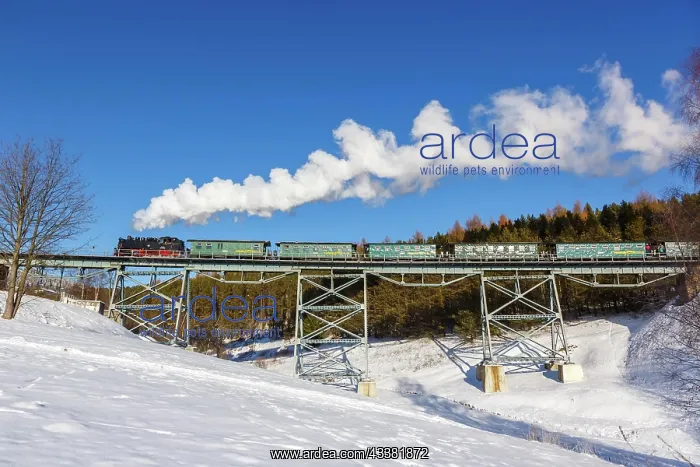 : Steam train of the Fichtelbergbahn railway Steam : Steam train of the Fichtelbergbahn railway Steam
