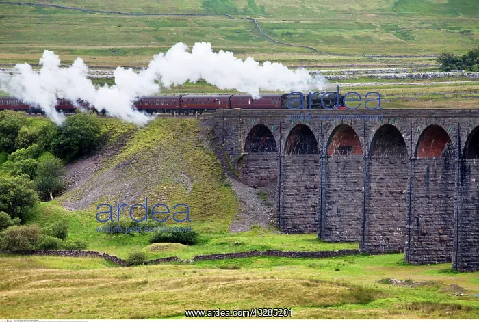 : Steam Train Hauled by The Scots Guardsman Arriving : Steam Train Hauled by The Scots Guardsman Arriving