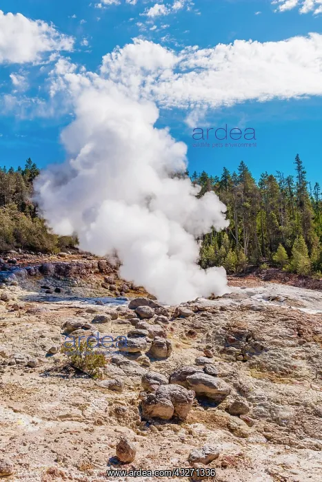 : Steamboat Geyser, Norris Back Basin, hot spring : Steamboat Geyser, Norris Back Basin, hot spring