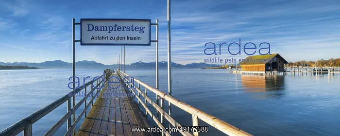 : Steamer jetty and boathouse on Lake Chiemsee in autumn in the morning light : Steamer jetty and boathouse on Lake Chiemsee in autumn in the morning light