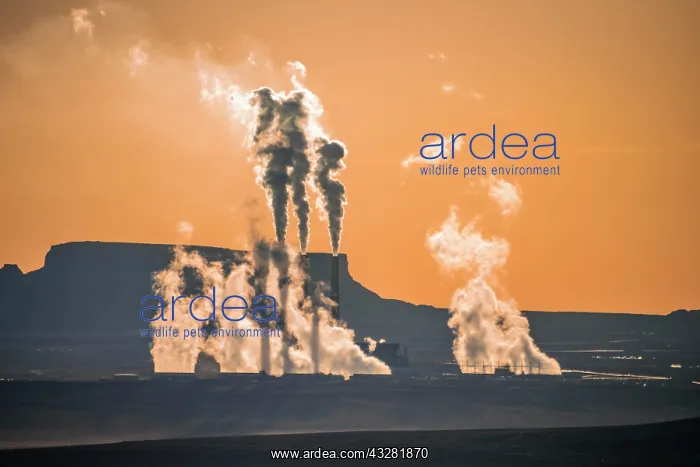 : Steaming Chimneys, Navajo Coal-fired Generating : Steaming Chimneys, Navajo Coal-fired Generating
