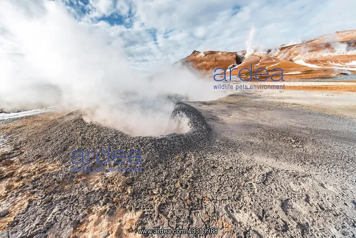  : Steaming hot springs, geothermal area Hverar&, x1ae92c;