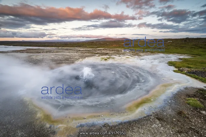 : Steaming spring at the Hveravellir geothermal area : Steaming spring at the Hveravellir geothermal area