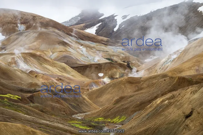 : Steaming springs and colourful rhyolite mountains : Steaming springs and colourful rhyolite mountains