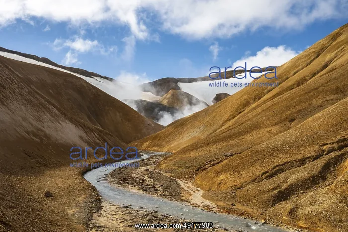 : Steaming springs and colourful rhyolite mountains : Steaming springs and colourful rhyolite mountains