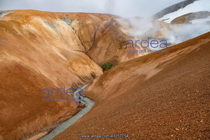 : Steaming stream between colourful rhyolite mountains : Steaming stream between colourful rhyolite mountains