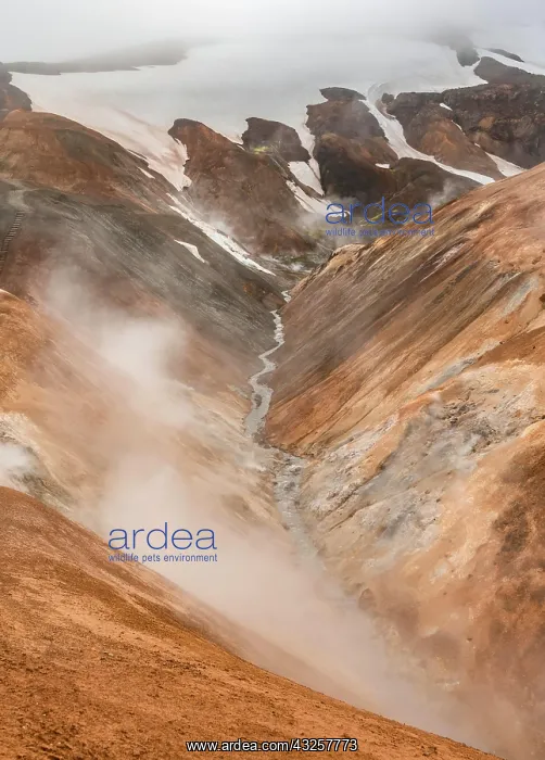 : Steaming stream between colourful rhyolite mountains : Steaming stream between colourful rhyolite mountains