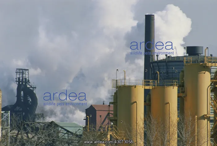 : Steel Plant : Steel Plant