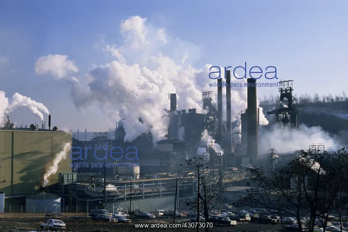: Steel Plant : Steel Plant