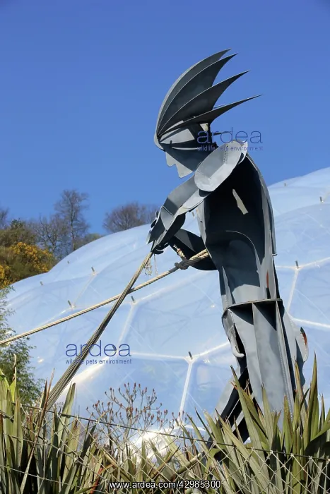 : Steel Statue of Adam pulling rope : Steel Statue of Adam pulling rope