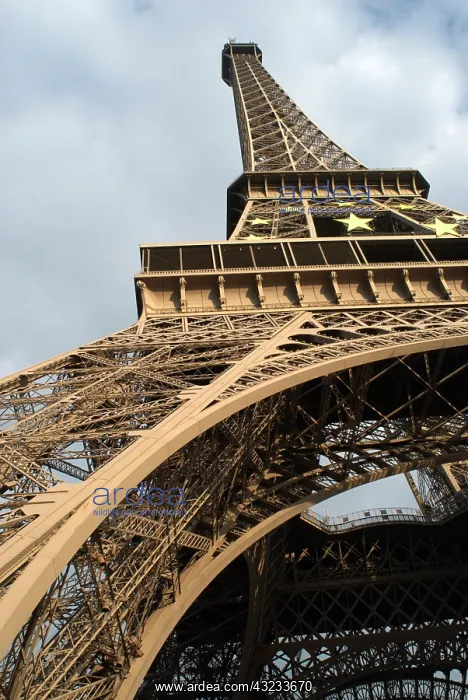 : The steel structure of the Eiffel Tower : The steel structure of the Eiffel Tower
