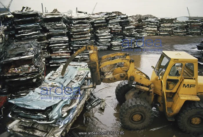 : Steel Yard : Steel Yard