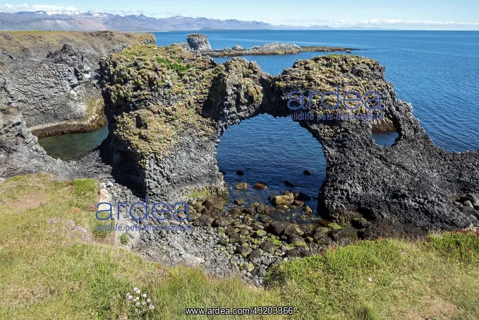 : Steep coast, basalt coast, rock arch Gatklettur : Steep coast, basalt coast, rock arch Gatklettur