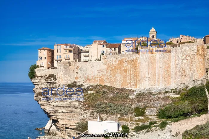 : Steep coast of Bonifacio with old town on a limestone : Steep coast of Bonifacio with old town on a limestone