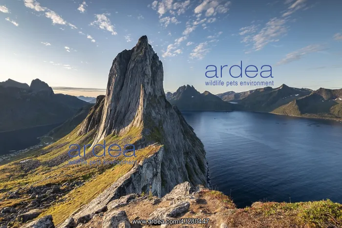 : Steep mountain Segla, fjord Mefjorden with mountains : Steep mountain Segla, fjord Mefjorden with mountains
