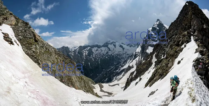 : Steep snow field, Scharte, hiker on the descent : Steep snow field, Scharte, hiker on the descent