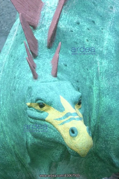 : Stegosaurus : Stegosaurus