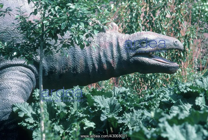 : Stegosaurus : Stegosaurus