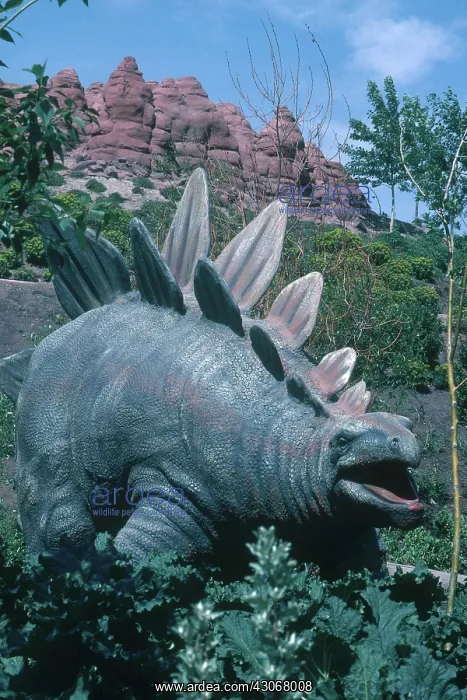 : Stegosaurus : Stegosaurus