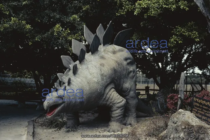 : Stegosaurus : Stegosaurus