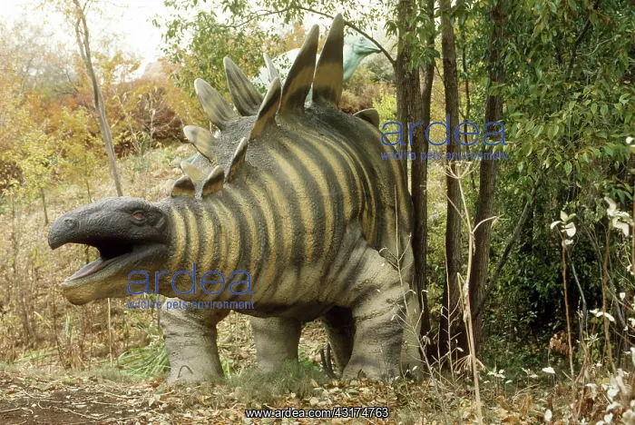 : Stegosaurus : Stegosaurus
