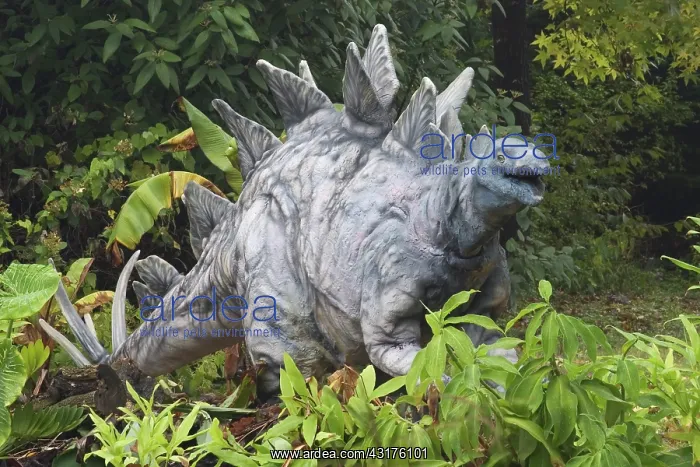: Stegosaurus : Stegosaurus