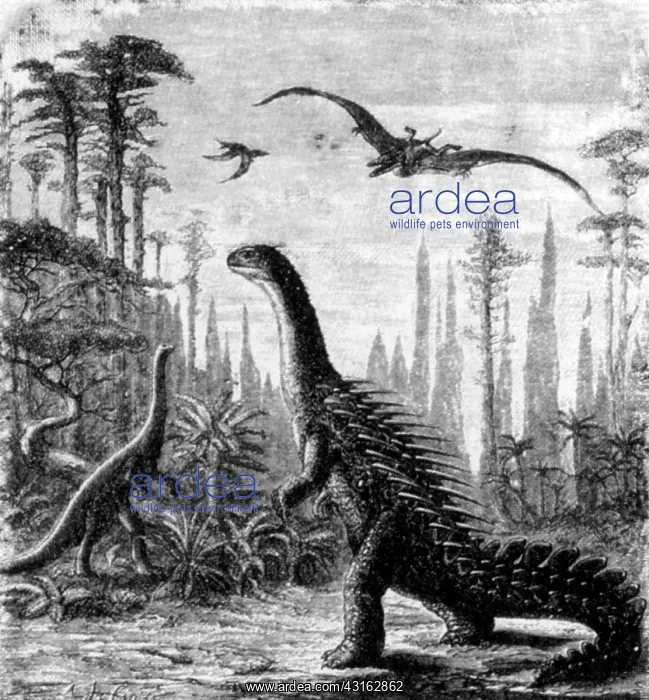 : Stegosaurus and Compsognathus Dinosaurs : Stegosaurus and Compsognathus Dinosaurs