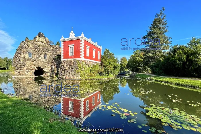 : Stein Island with artificial volcano, cultural foundation : Stein Island with artificial volcano, cultural foundation