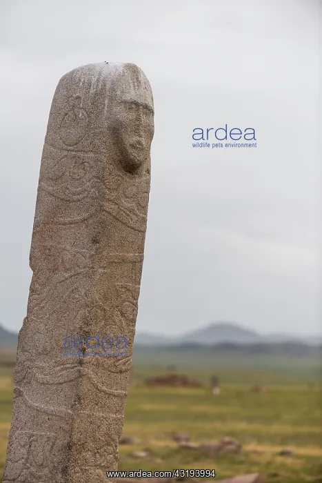 : Stele with face of the site of Ulaan Muushig - Mongolia : Stele with face of the site of Ulaan Muushig - Mongolia