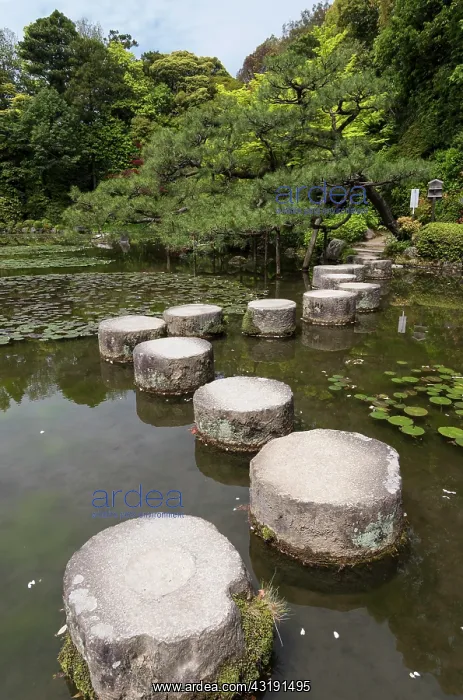 : Stepping stones in pond at Heian Jingu gardens : Stepping stones in pond at Heian Jingu gardens