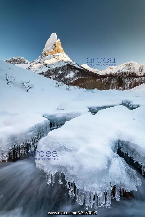 : Stetind, Norwegian national mountain, icy stream : Stetind, Norwegian national mountain, icy stream