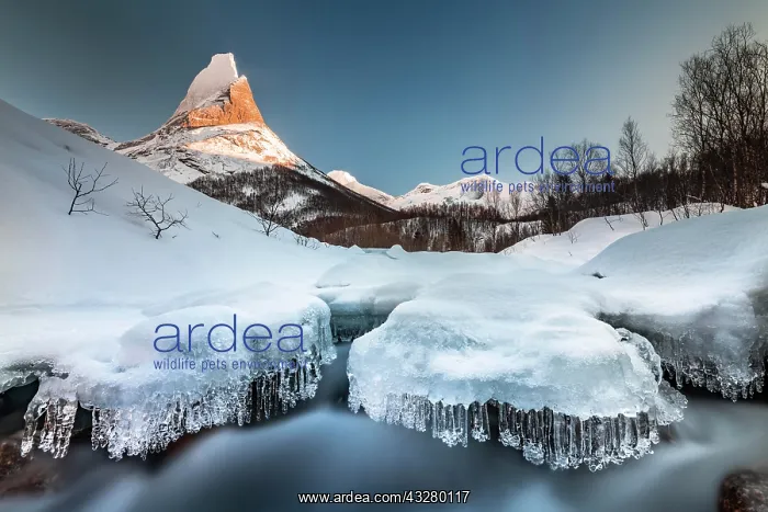: Stetind, Norwegian national mountain, icy stream : Stetind, Norwegian national mountain, icy stream