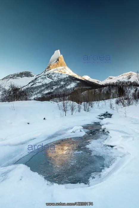  : Stetind, Norwegian national mountain, icy stream